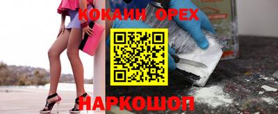 молекула духа Кулебаки